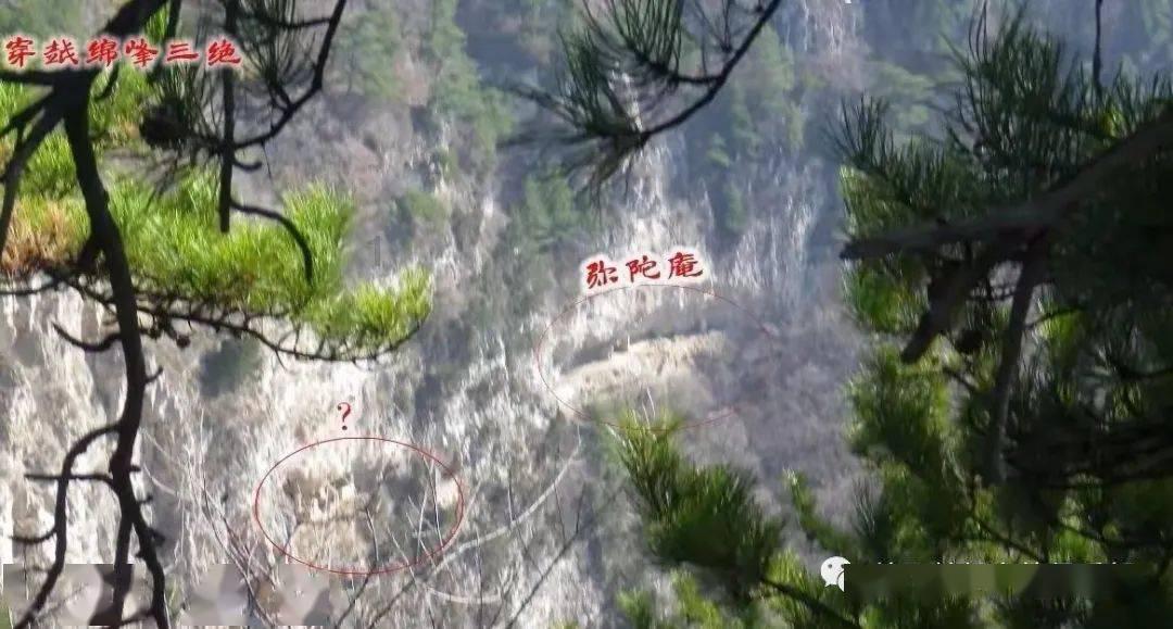银行板块“开门红”领涨市场,高股息行情继续扩散!